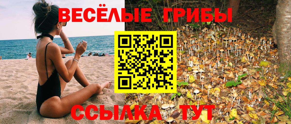 Псилоцибиновые грибы Psilocybe  где купить наркоту  Лабинск  Вход с VPN 